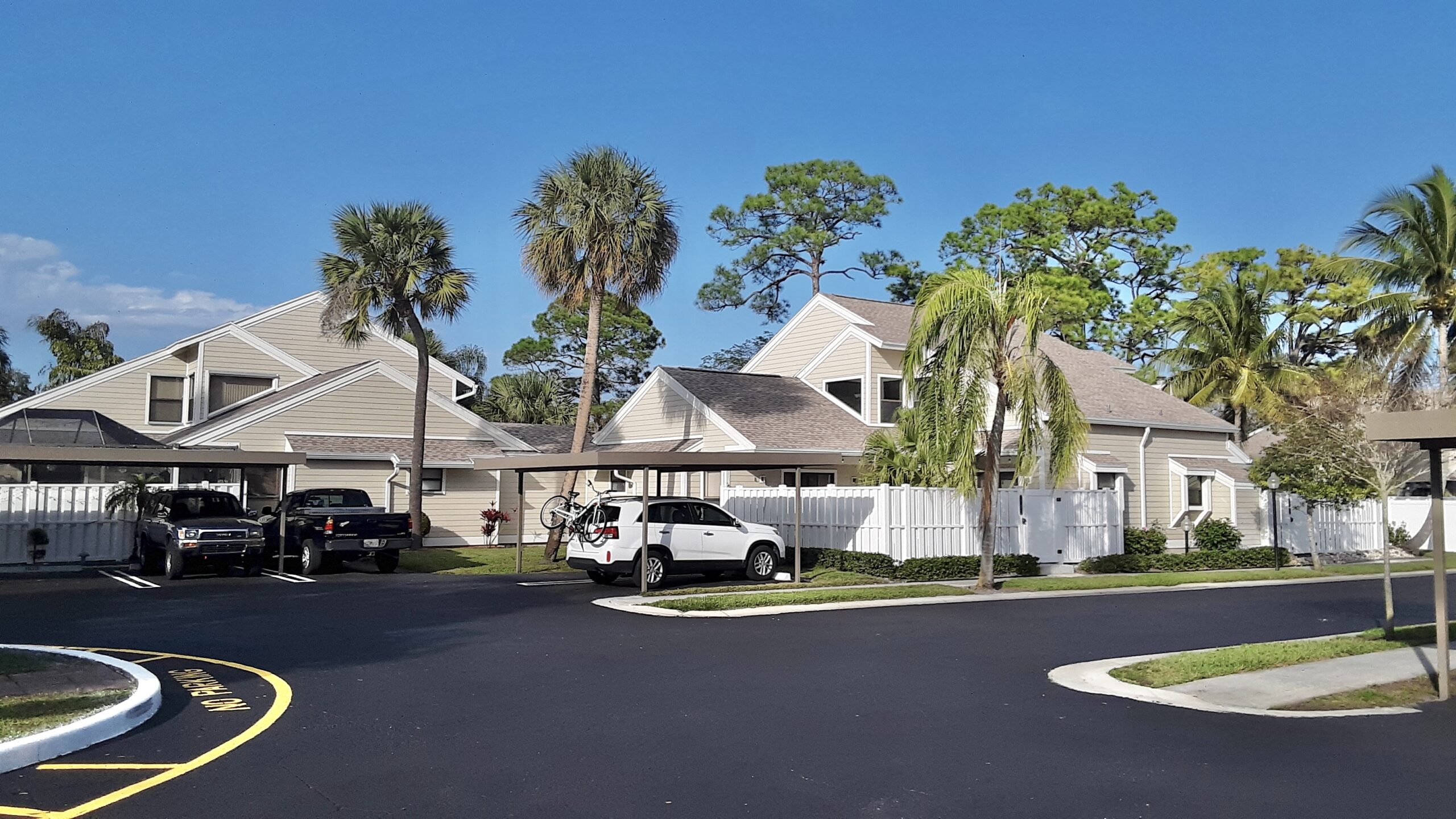 Three houses with palm trees and coconut trees