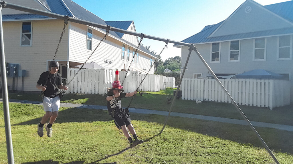 Two kinds in black using the swing